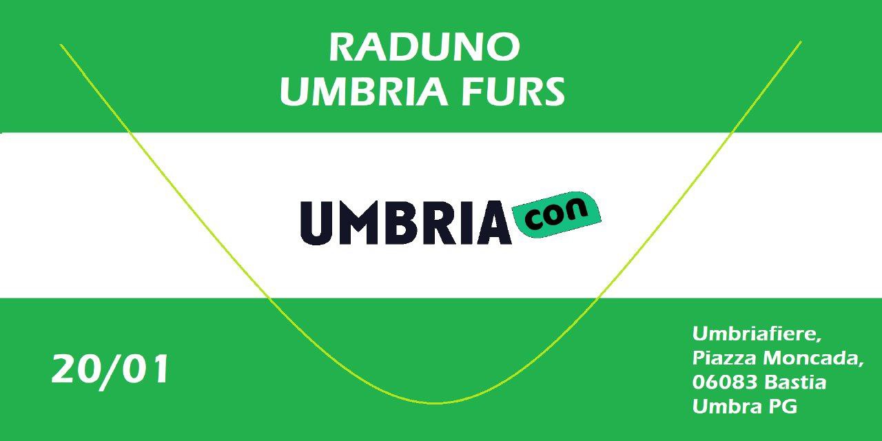 Umbria-Con banner